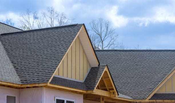 Professional Roofing Services in Genola, UT